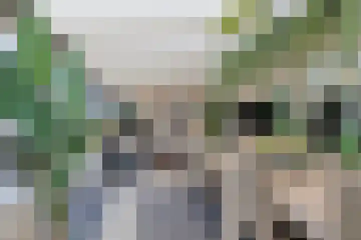 Spaarnwoudelaan 80 Tilburg thumbnail 18