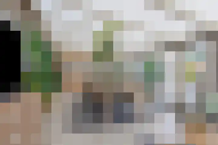 Spaarnwoudelaan 80 Tilburg thumbnail 21