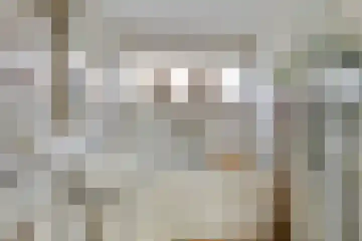 Spaarnwoudelaan 80 Tilburg thumbnail 28