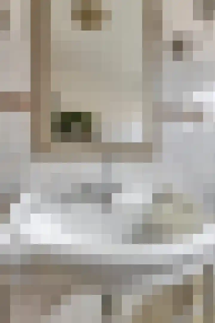Spaarnwoudelaan 80 Tilburg thumbnail 30
