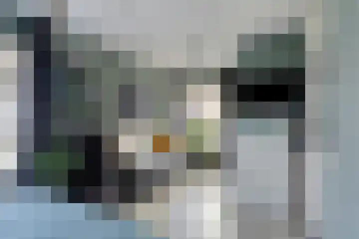 Spaarnwoudelaan 80 Tilburg thumbnail 34