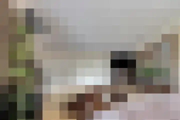 Spaarnwoudelaan 80 Tilburg thumbnail 38