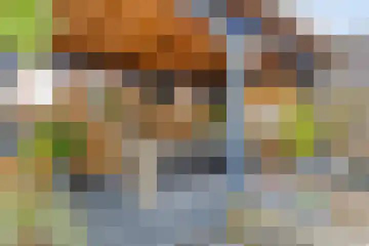 Spaarnwoudelaan 80 Tilburg thumbnail 43