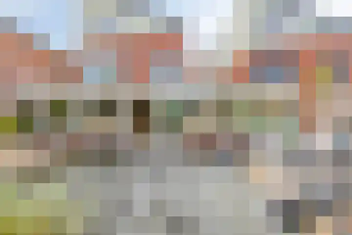 Spaarnwoudelaan 80 Tilburg thumbnail 45