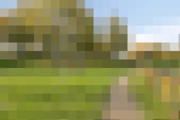 Spaarnwoudelaan 80 Tilburg thumbnail 54