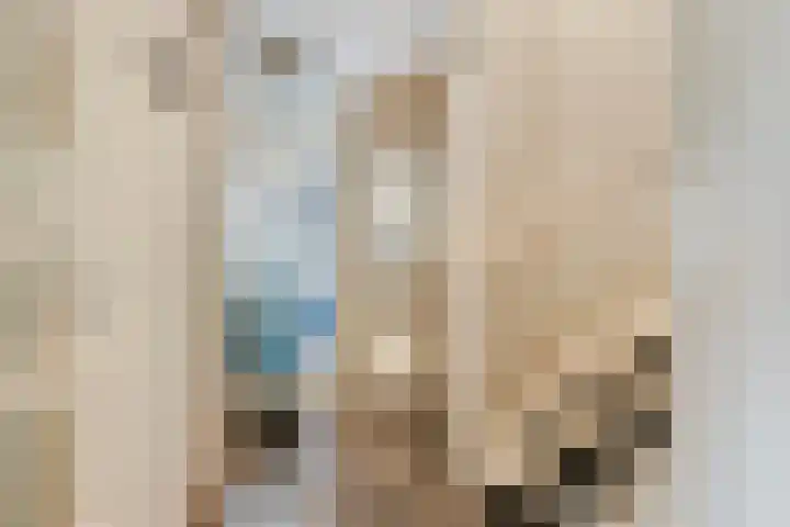 Spaarnwoudelaan 80 Tilburg thumbnail 8