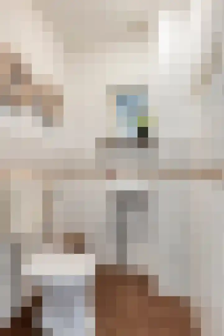 Spaarnwoudelaan 80 Tilburg thumbnail 9