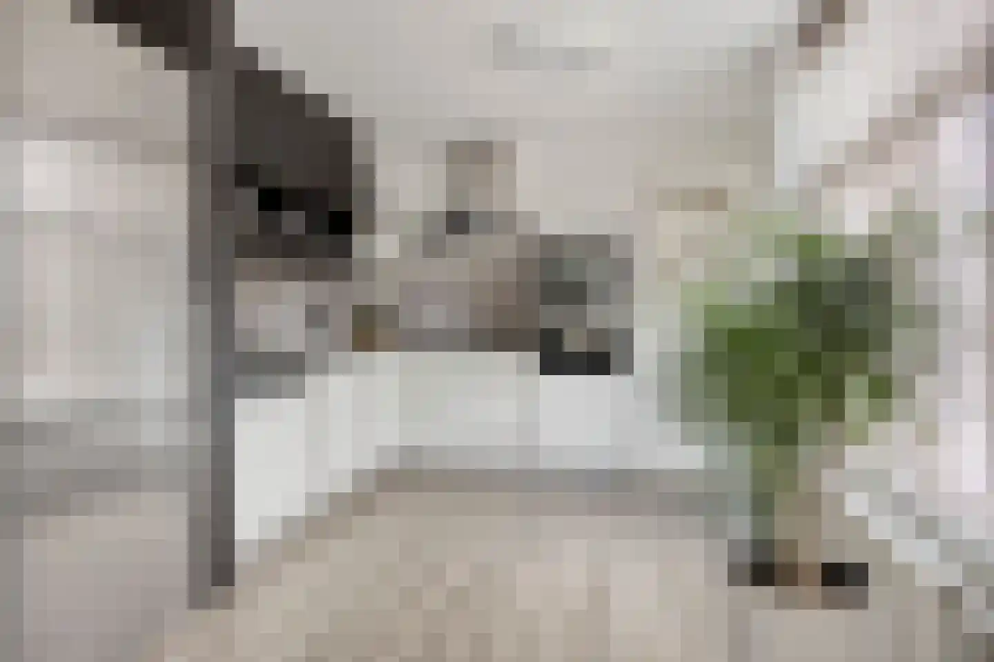 Spaarnwoudelaan 82 Tilburg thumbnail 25