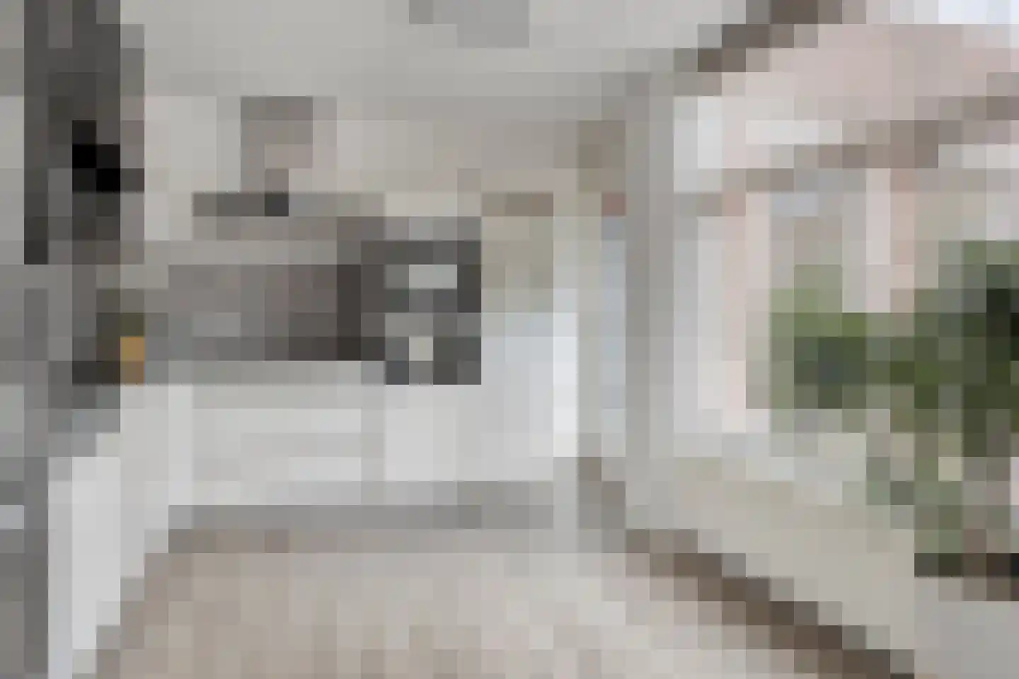 Spaarnwoudelaan 82 Tilburg thumbnail 26