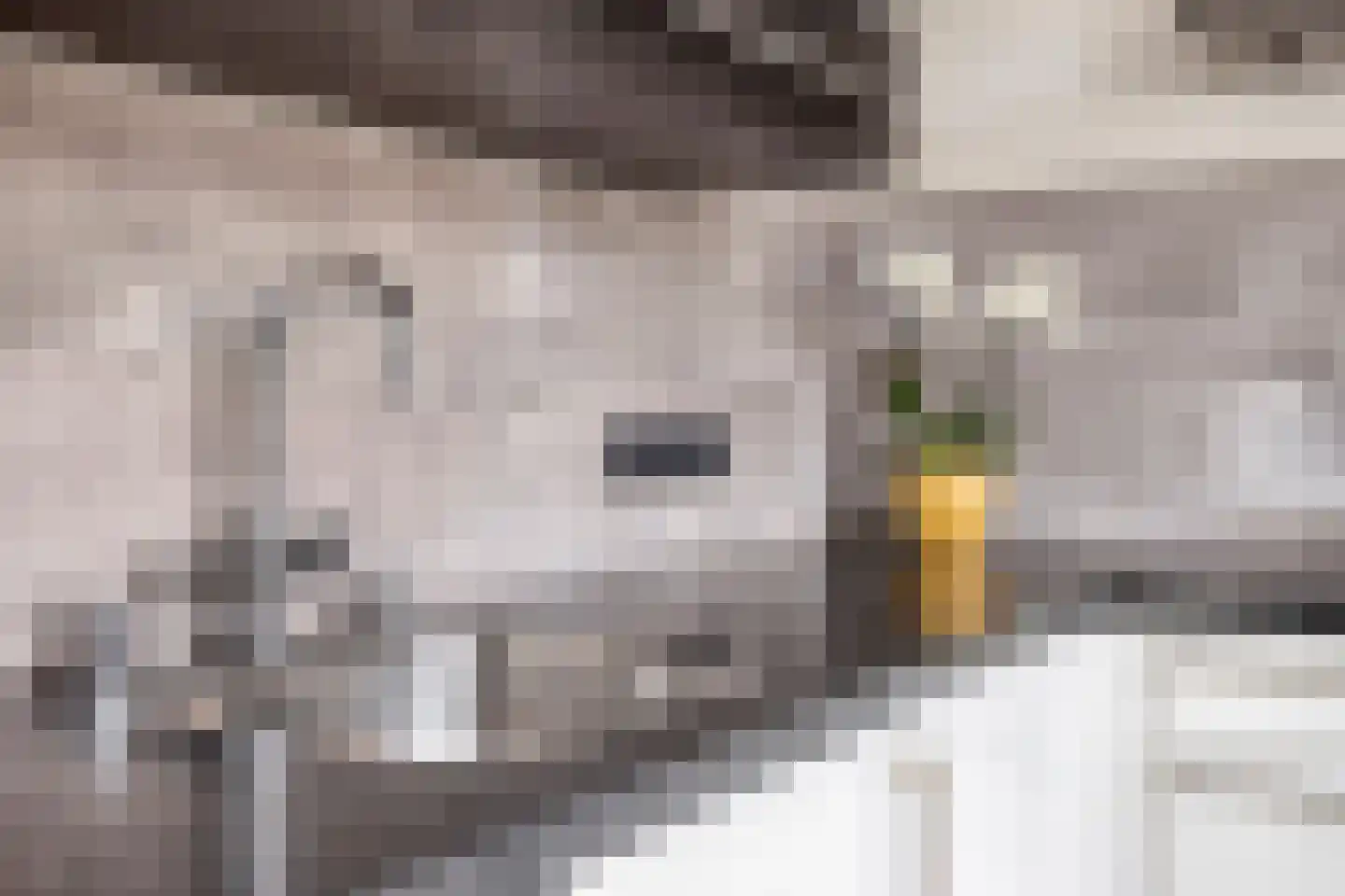 Spaarnwoudelaan 82 Tilburg thumbnail 27