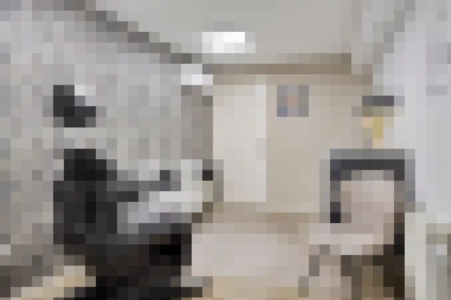 Spaarnwoudelaan 82 Tilburg thumbnail 29