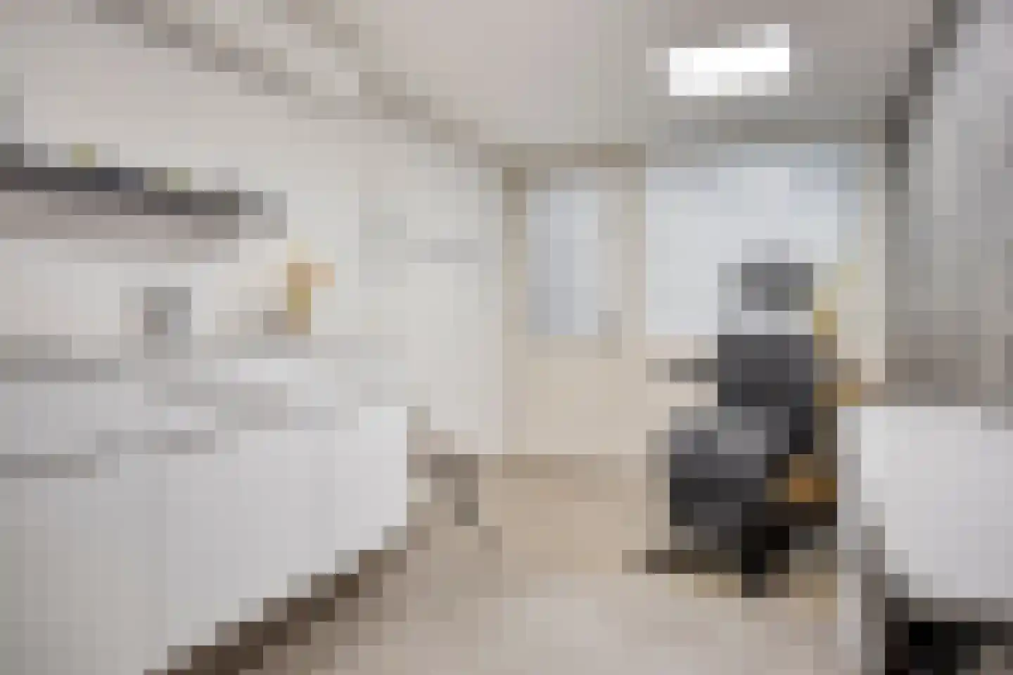 Spaarnwoudelaan 82 Tilburg thumbnail 30
