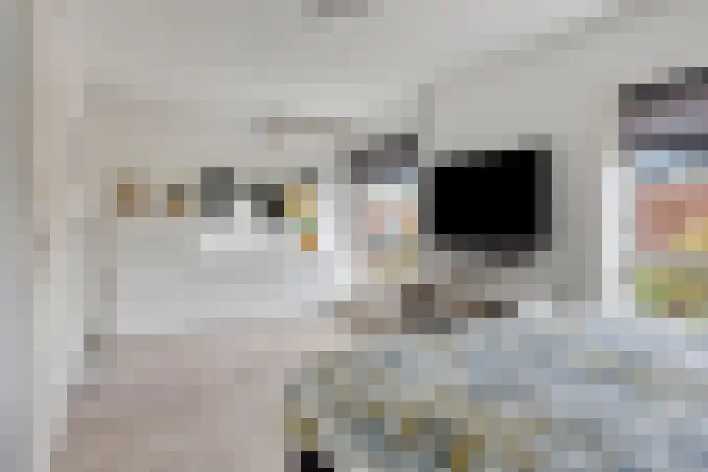 Spaarnwoudelaan 82 Tilburg thumbnail 40