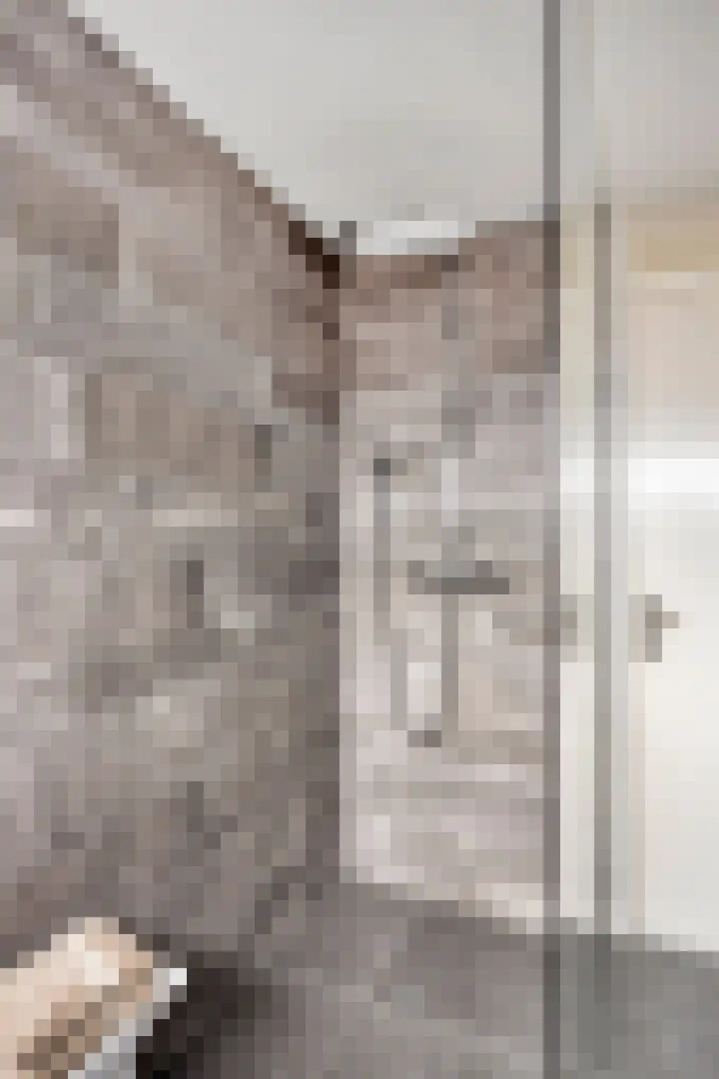 Spaarnwoudelaan 82 Tilburg thumbnail 42