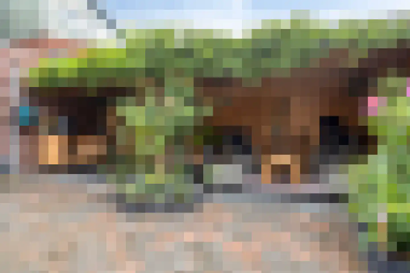 Spaarnwoudelaan 82 Tilburg thumbnail 59