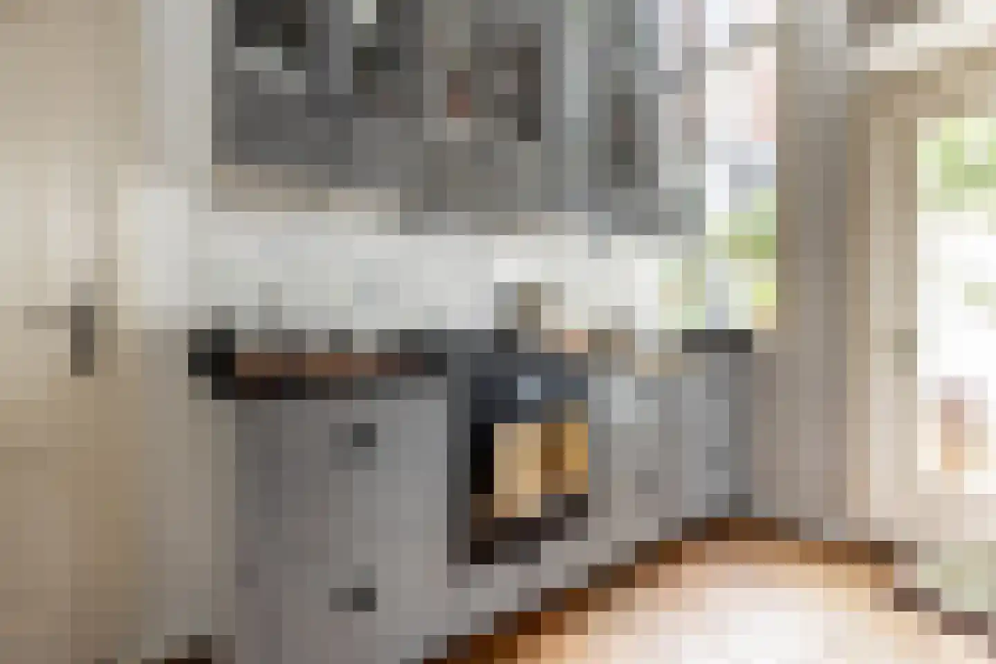 Spaarnwouderstraat 1 Haarlem thumbnail 12