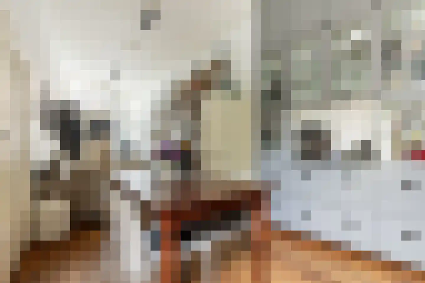 Spaarnwouderstraat 1 Haarlem thumbnail 17