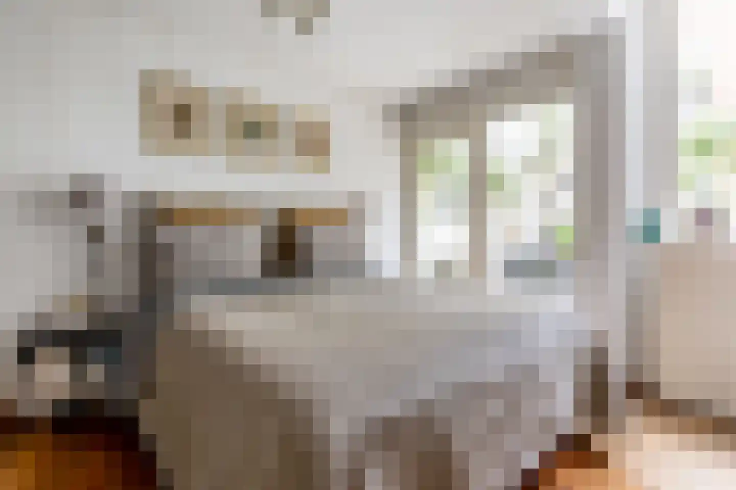 Spaarnwouderstraat 1 Haarlem thumbnail 19