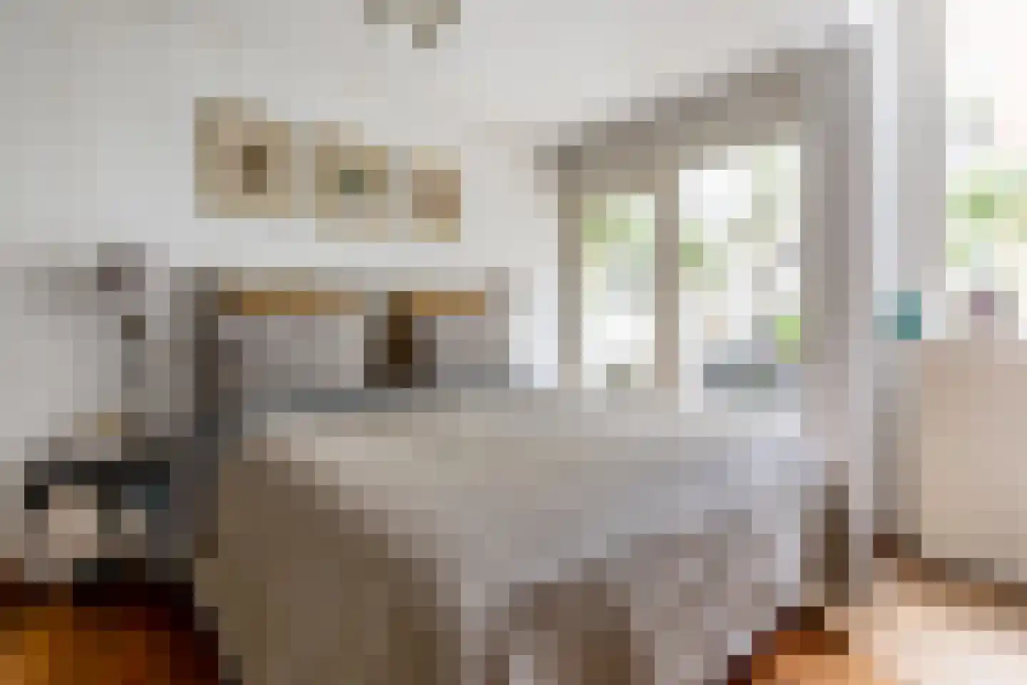 Spaarnwouderstraat 1 Haarlem thumbnail 4