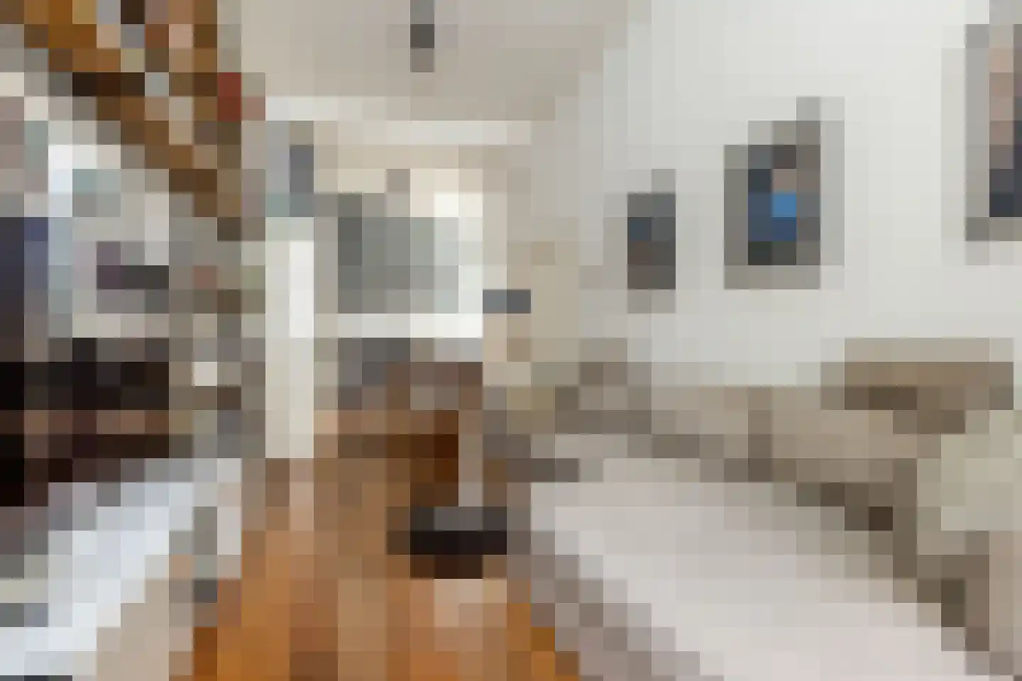 Spaarnwouderstraat 1 Haarlem thumbnail 7