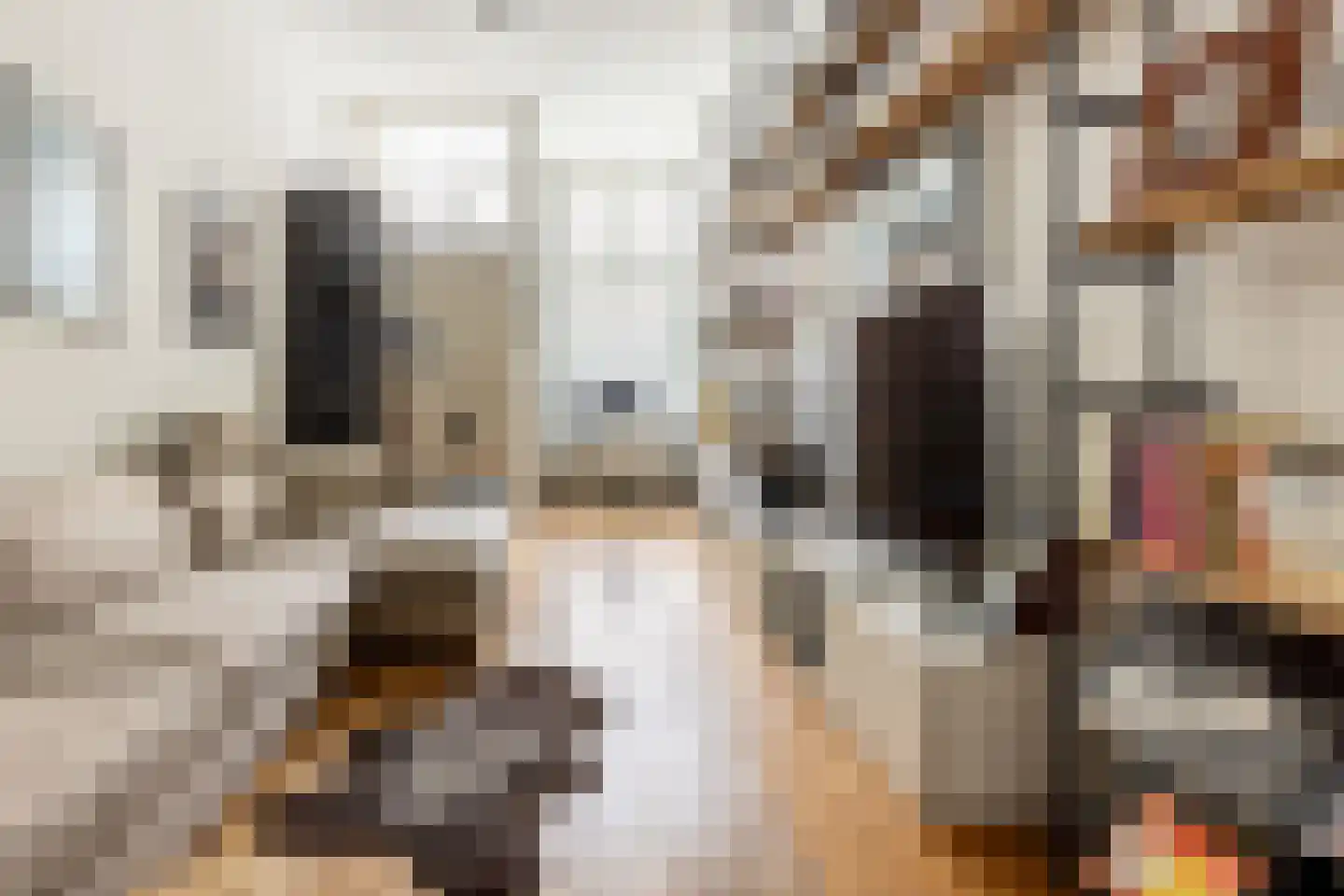 Spaarnwouderstraat 1 Haarlem thumbnail 9