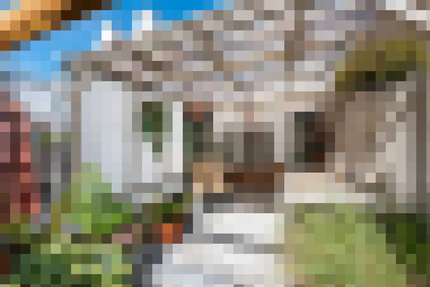Spaarnwouderstraat 120 Haarlem thumbnail 24