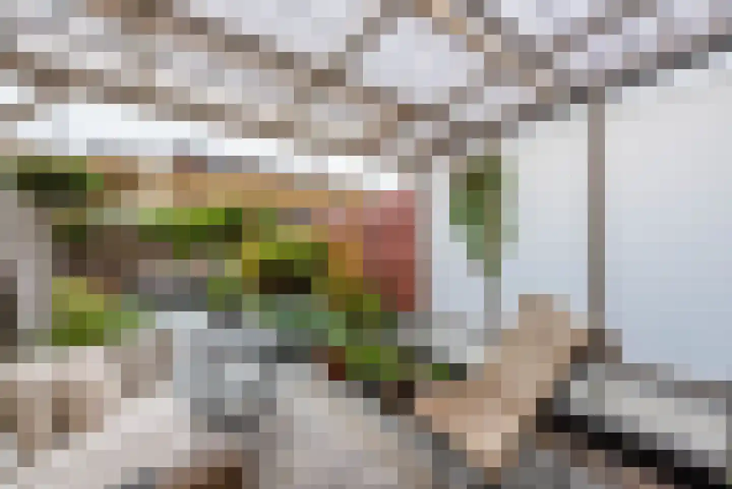Spaarnwouderstraat 120 Haarlem thumbnail 45