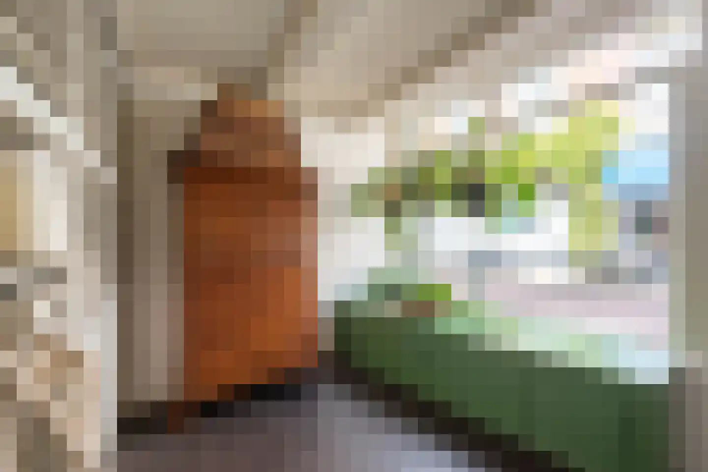 Spaarnwouderstraat 120 Haarlem thumbnail 5