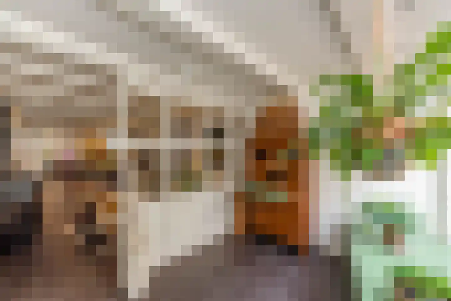 Spaarnwouderstraat 120 Haarlem thumbnail 9