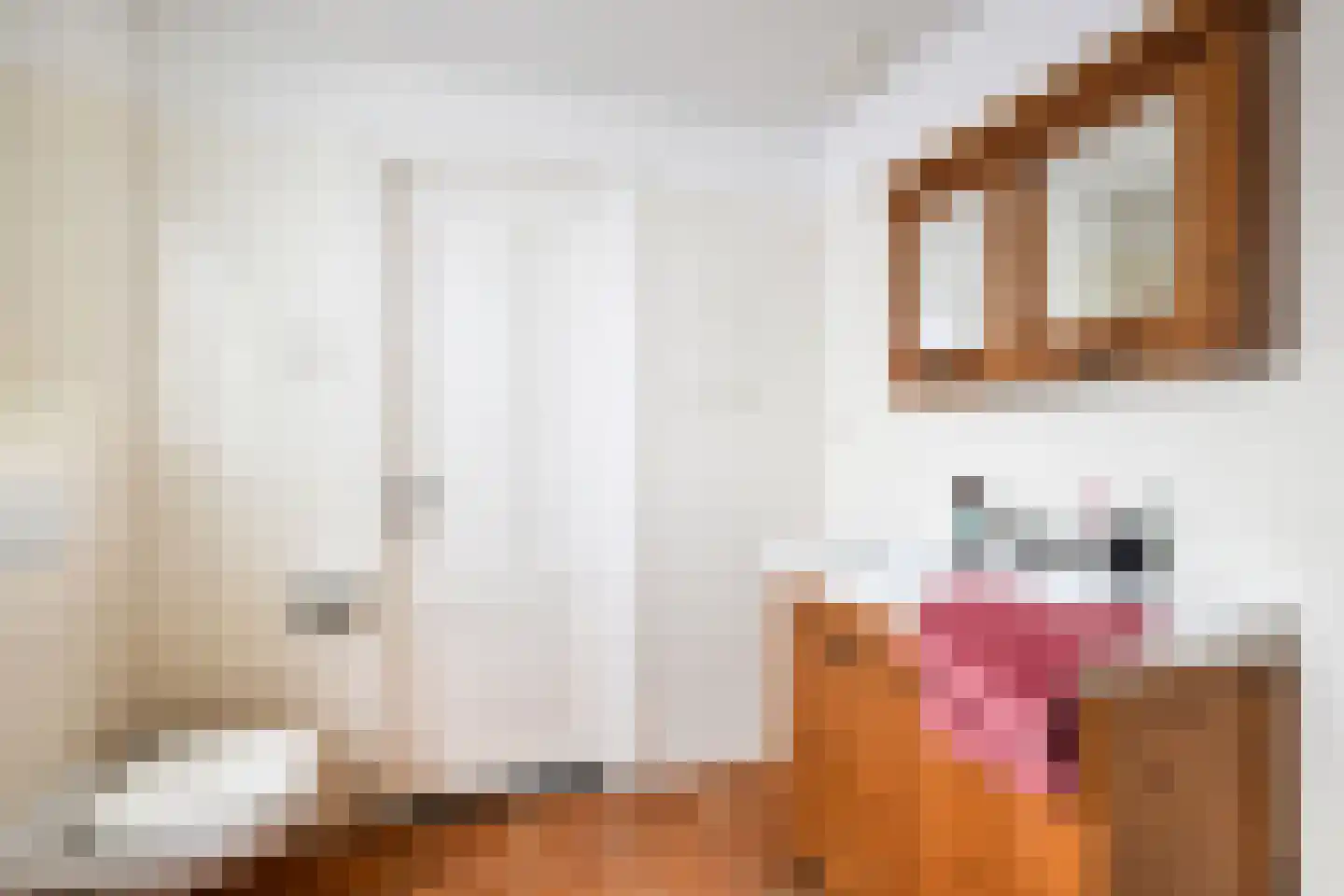 Spaarnwouderstraat 46 ZW Haarlem thumbnail 23