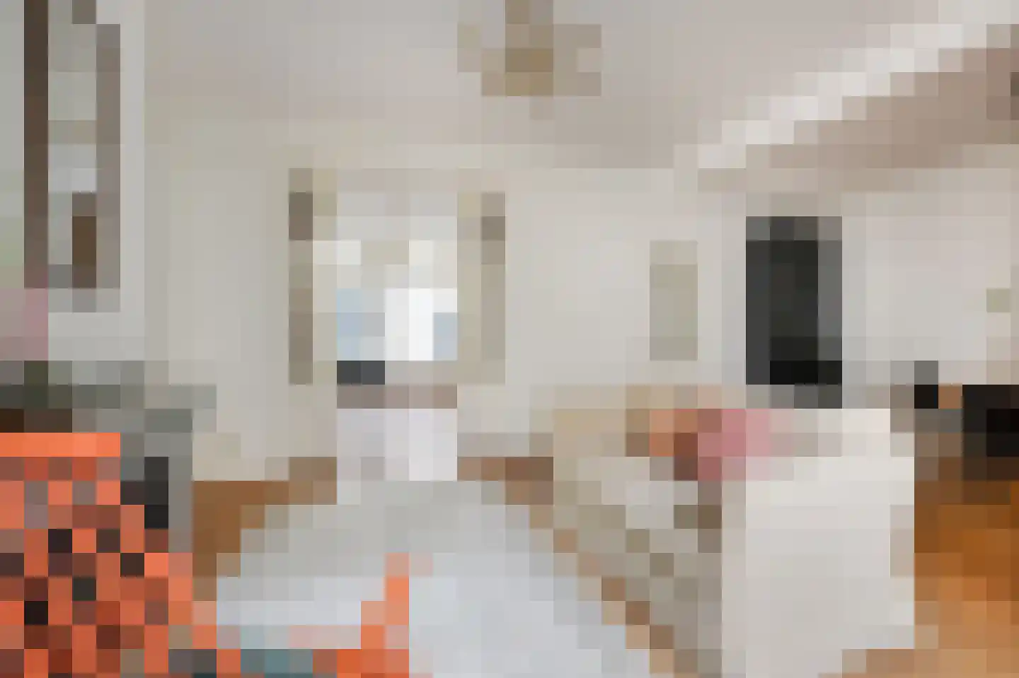 Spaarnwouderstraat 46 ZW Haarlem thumbnail 6