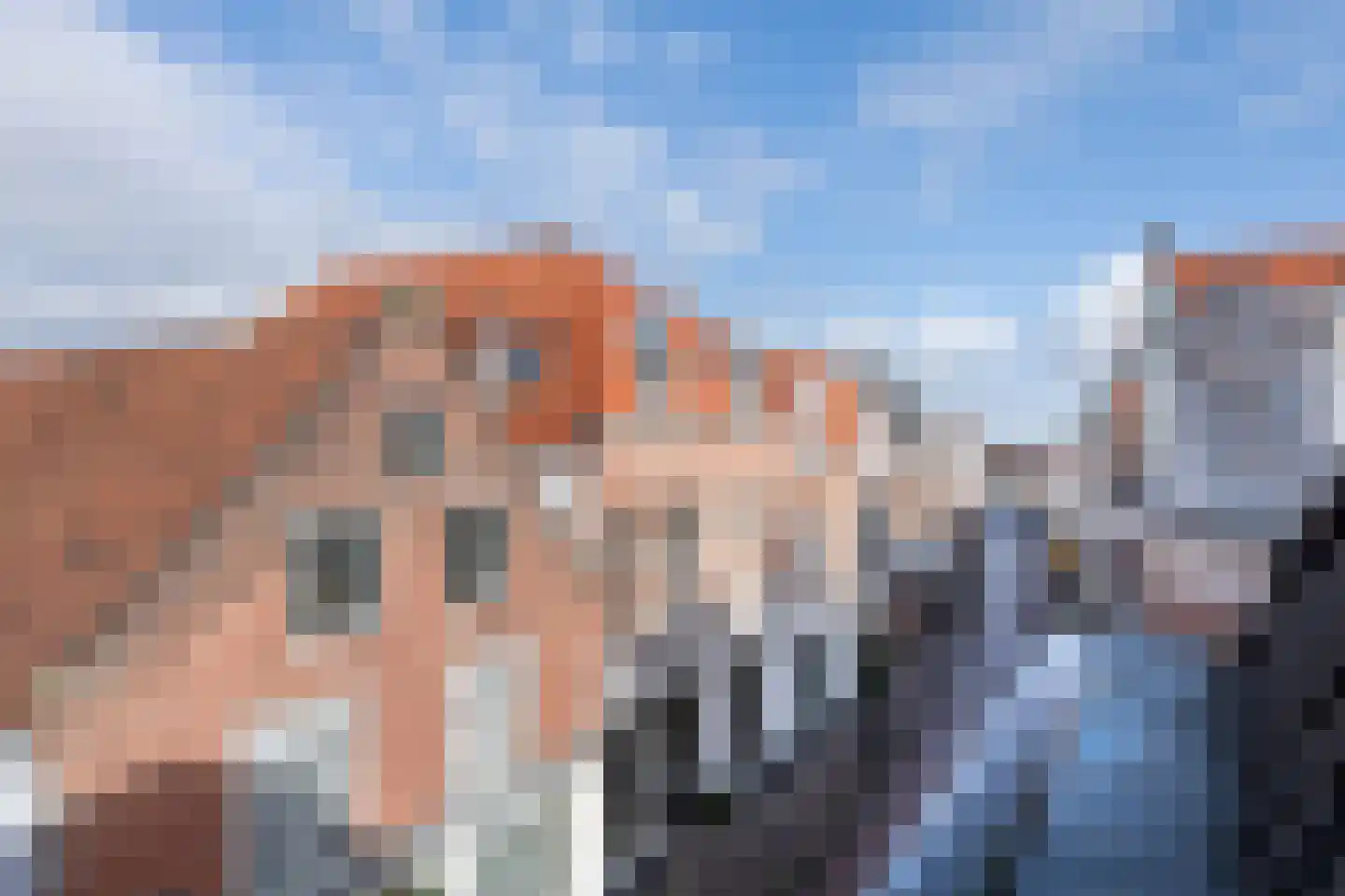 Spaarnwouderstraat 96 Haarlem thumbnail 26