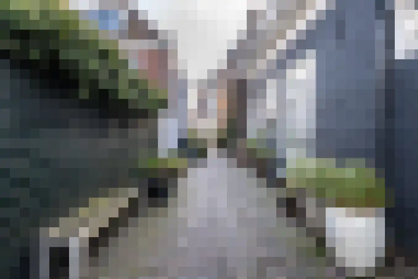 Spaarnwouderstraat 96 Haarlem thumbnail 30