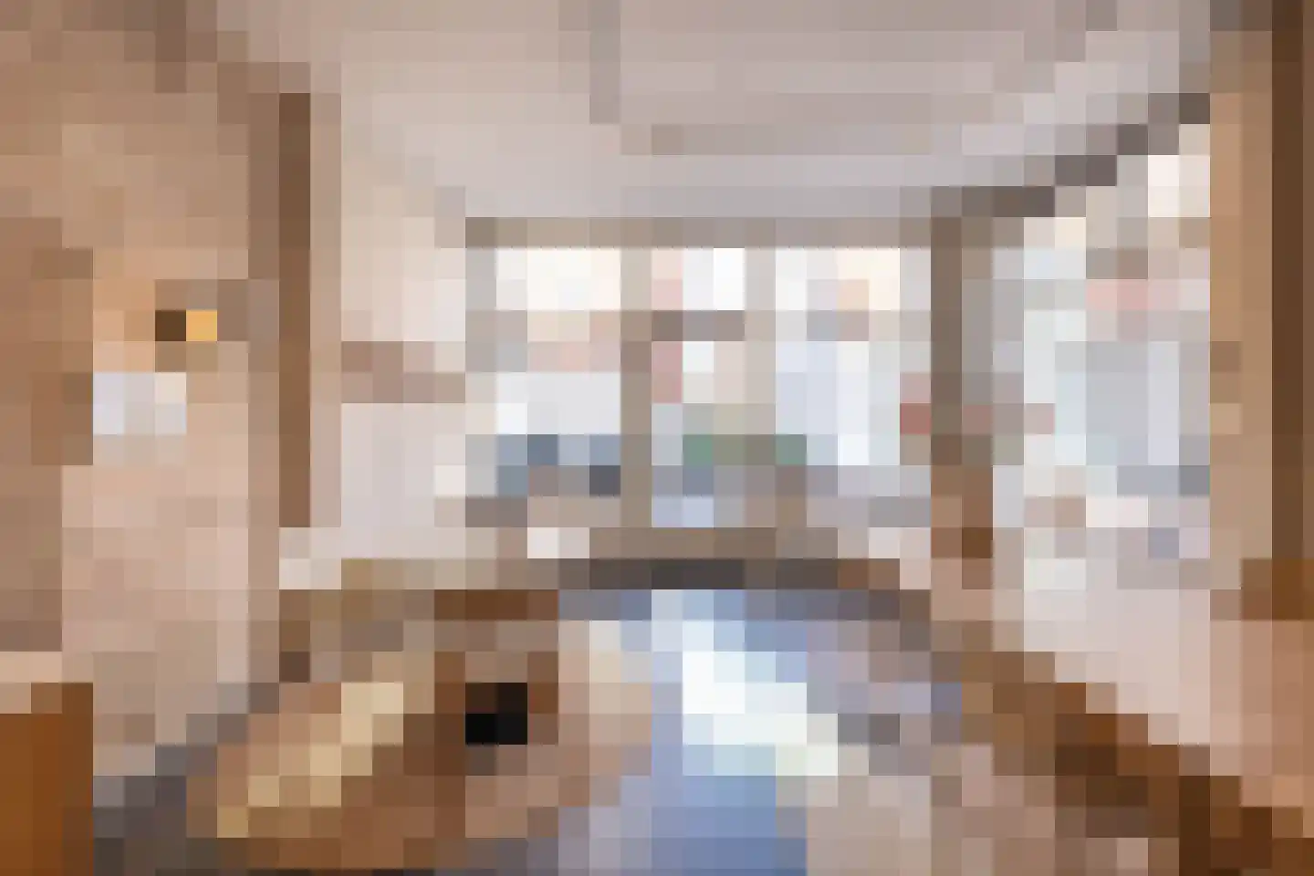Spaarnwouderstraat 96 Haarlem thumbnail 6