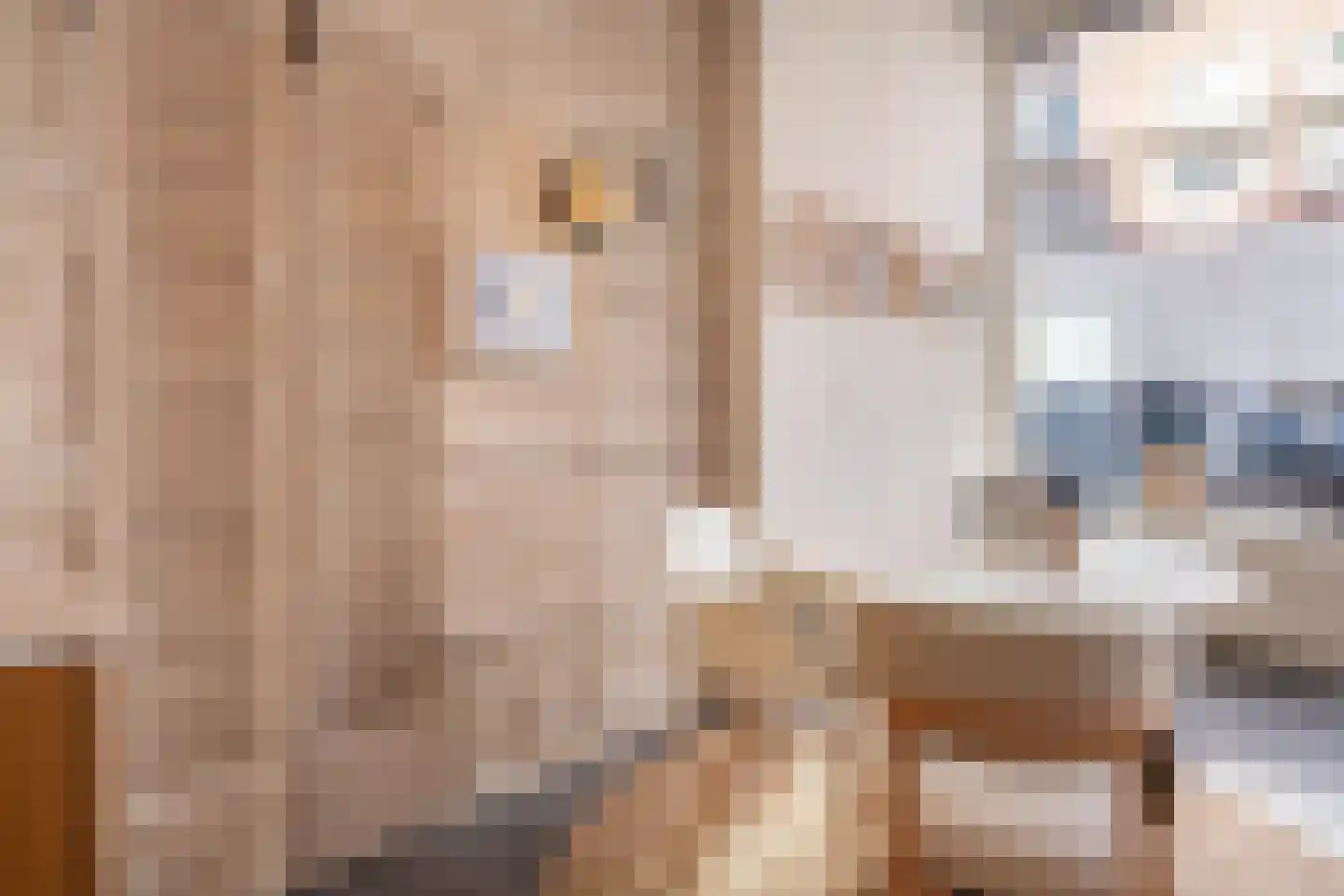 Spaarnwouderstraat 96 Haarlem thumbnail 8