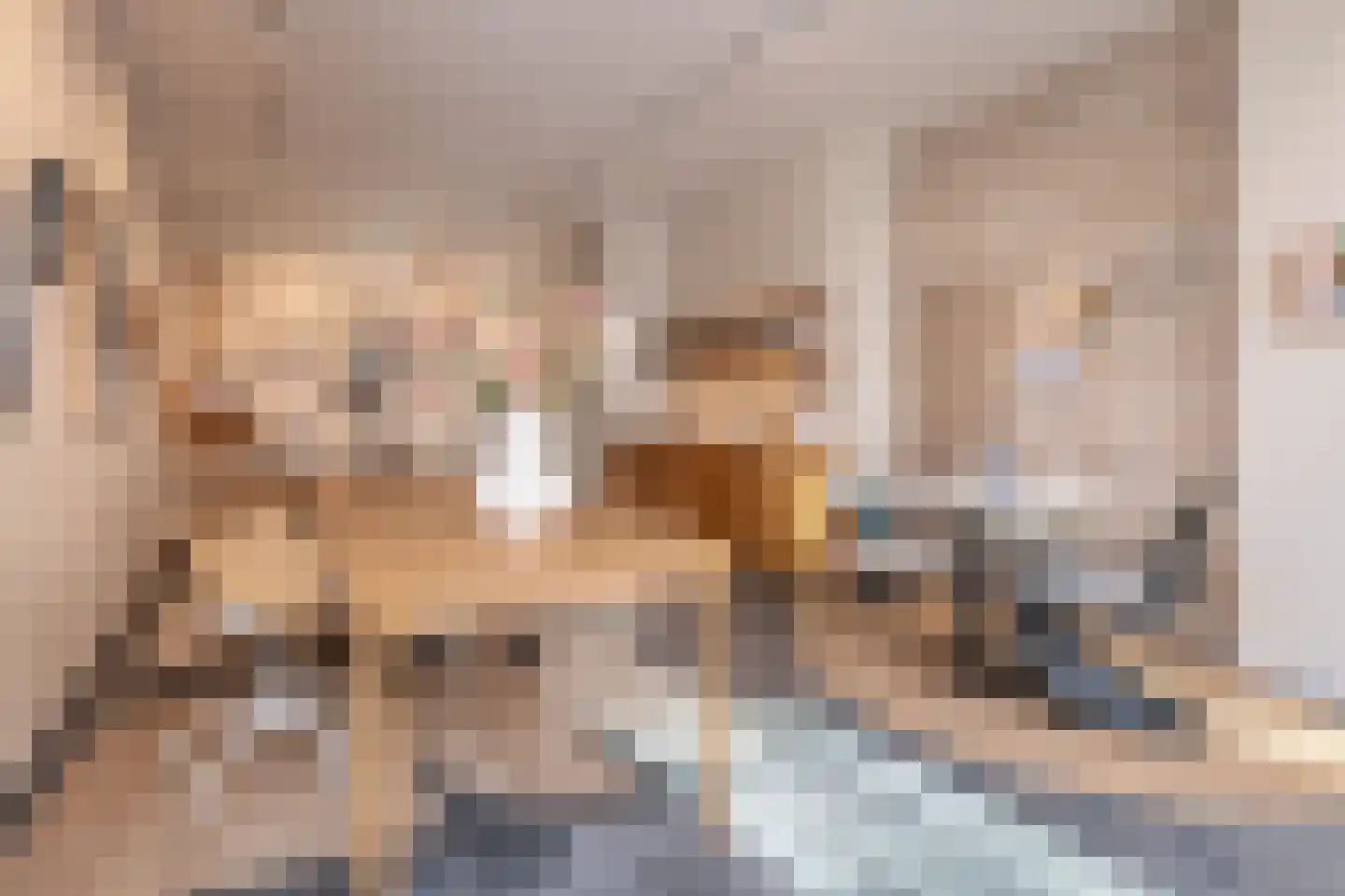 Spaarnwouderstraat 96 Haarlem thumbnail 9