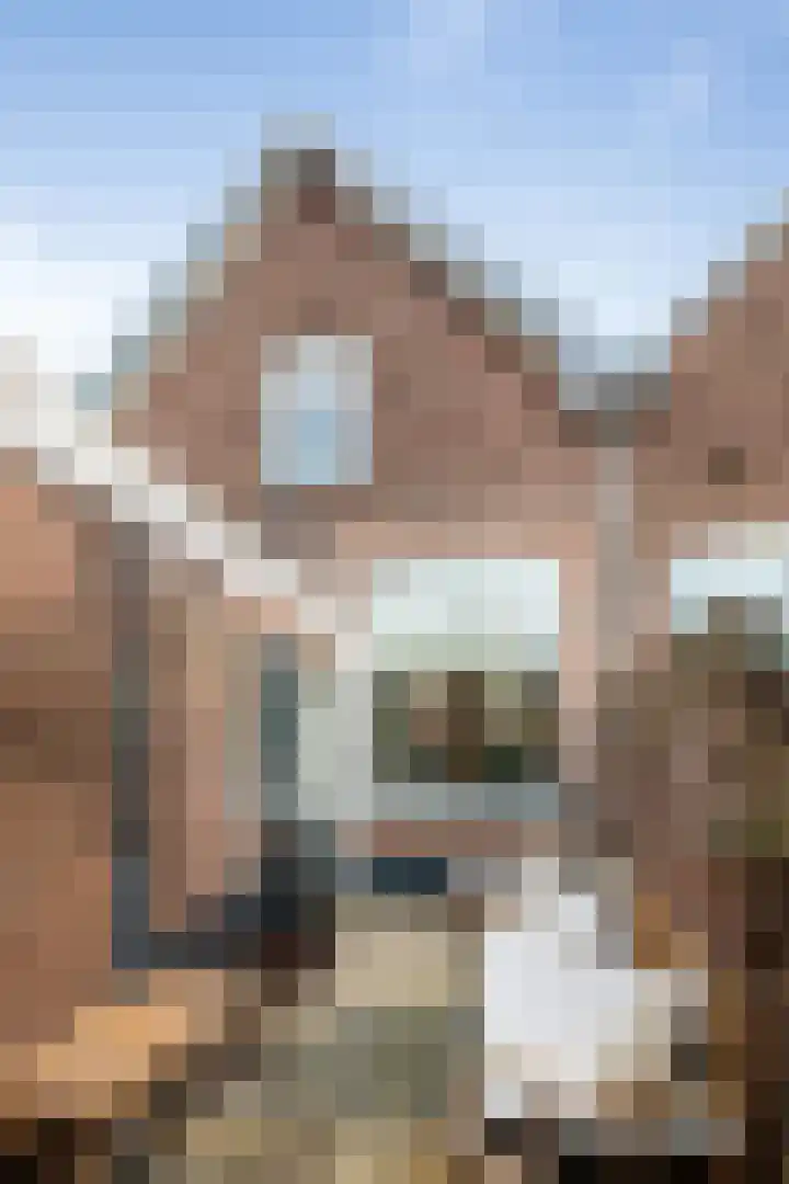 Spaarpotstraat 19 Deventer thumbnail 16