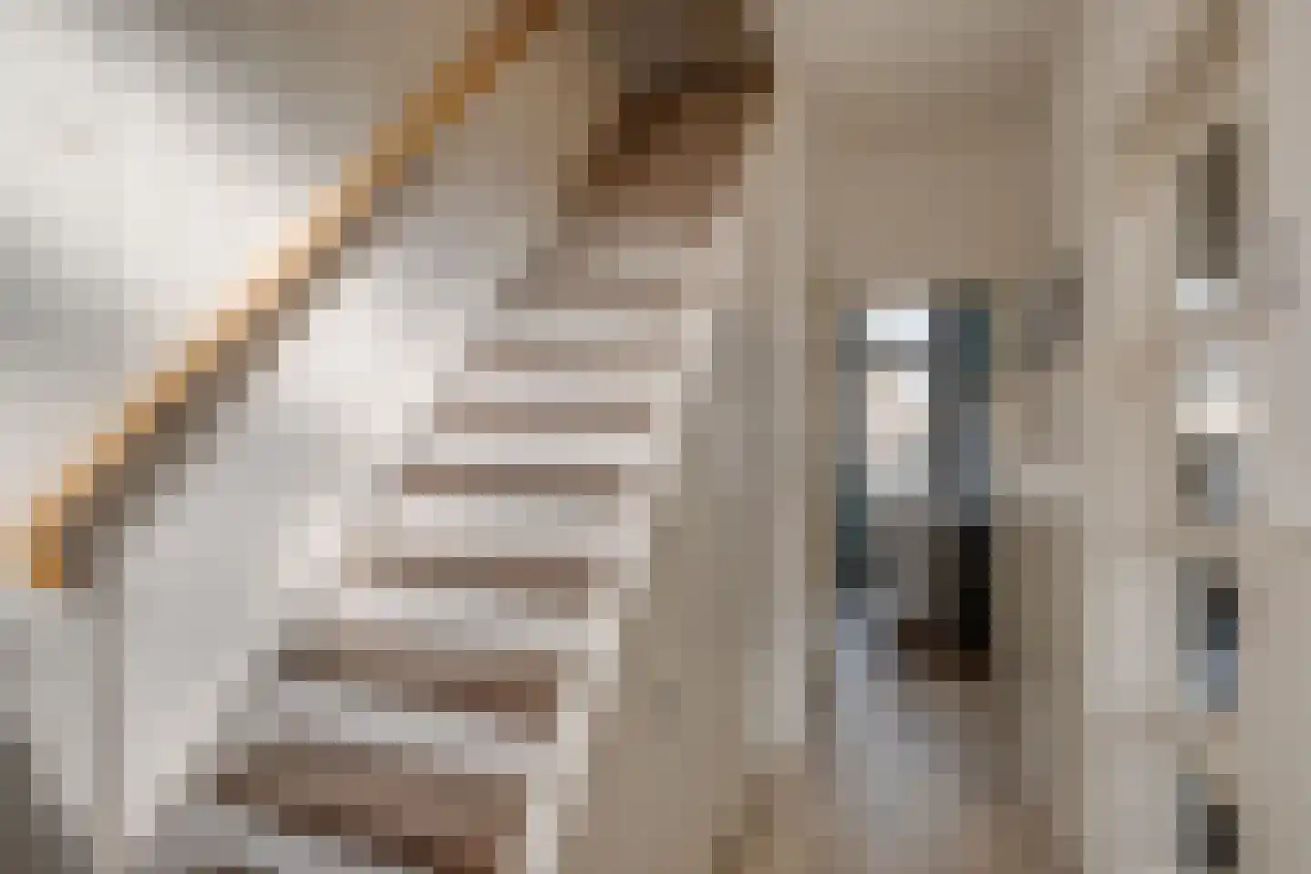 Spaarpotstraat 8 Deventer thumbnail 22