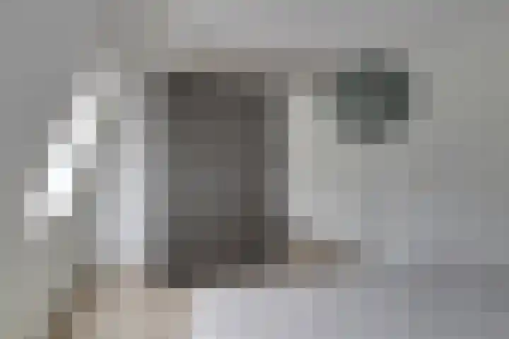 Spaarwaterhof 24 Den Haag thumbnail 11