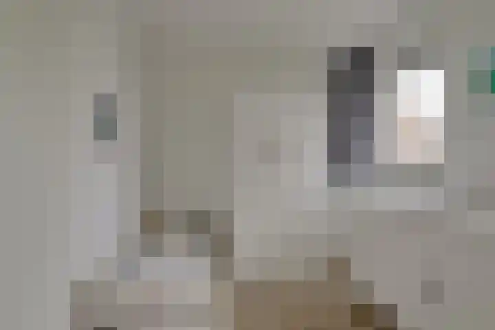 Spaarwaterhof 24 Den Haag thumbnail 12
