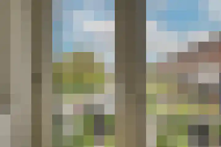 Spaarwaterhof 24 Den Haag thumbnail 15