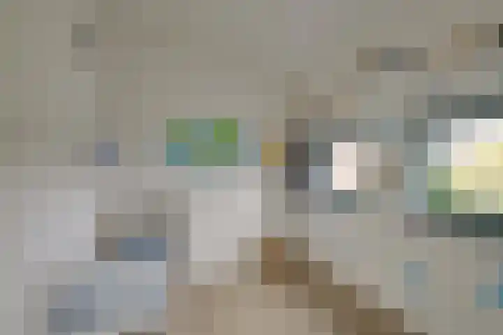 Spaarwaterhof 24 Den Haag thumbnail 18