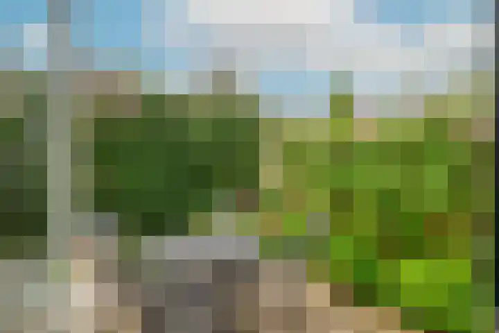 Spaarwaterhof 24 Den Haag thumbnail 22