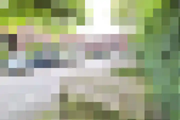Spaarwaterhof 24 Den Haag thumbnail 27