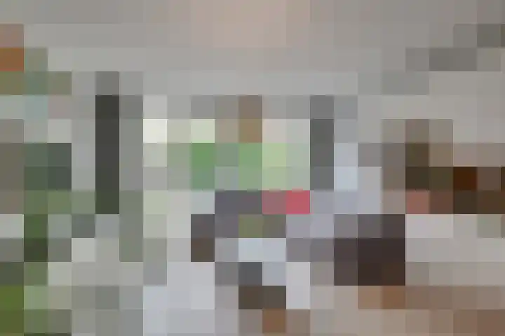 Spaarwaterhof 24 Den Haag thumbnail 4
