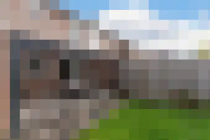 Spaarweiden 16 Landgraaf thumbnail 37
