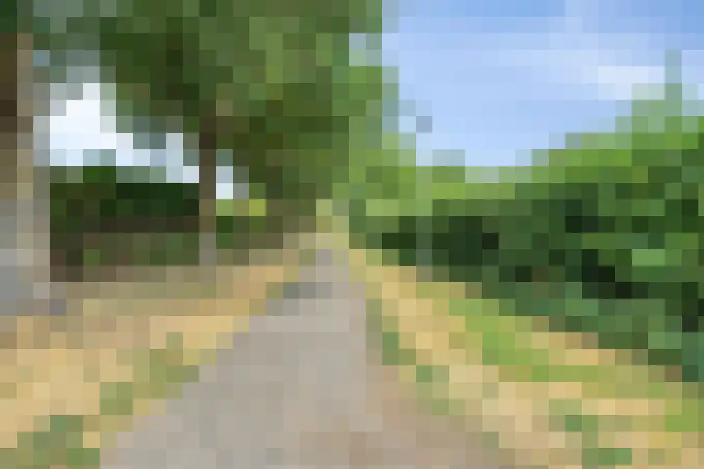 Spaarweiden 9 Landgraaf thumbnail 31