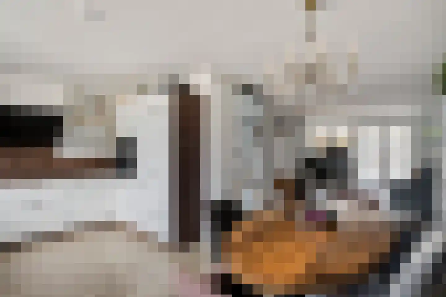 Spaarweiden 9 Landgraaf thumbnail 7