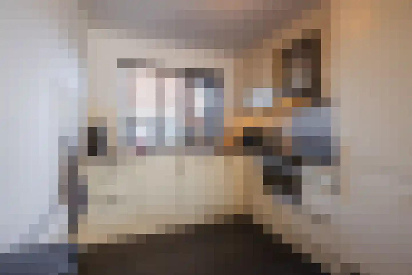 Spade 18 Vriezenveen thumbnail 12