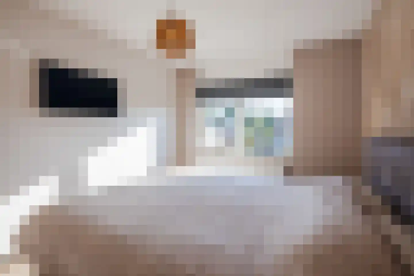 Spade 18 Vriezenveen thumbnail 18